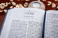 TPT New Testament 2020, Compact Giant Print, Navy (Black Letter Edition) (With Psalms, Proverbs and The Song Of Songs)