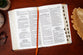 KJV Holy Bible Giant Print Compact Sienna Indexed (Red Letter Edition)