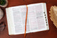 KJV Holy Bible Giant Print Compact Sienna Indexed (Red Letter Edition)