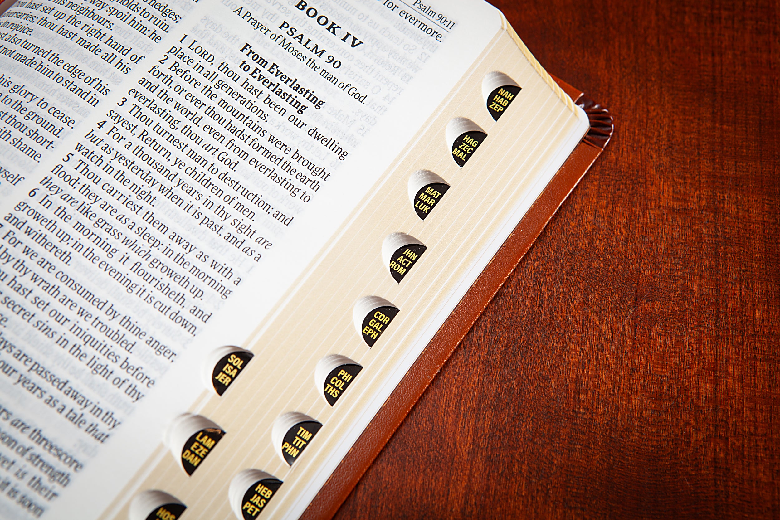 KJV Holy Bible Giant Print Compact Sienna Indexed (Red Letter Edition)