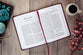 TPT New Testament, 2020 Readers Edition, Burgundy (Black Letter Edition)