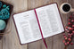 TPT New Testament, 2020 Readers Edition, Burgundy (Black Letter Edition)