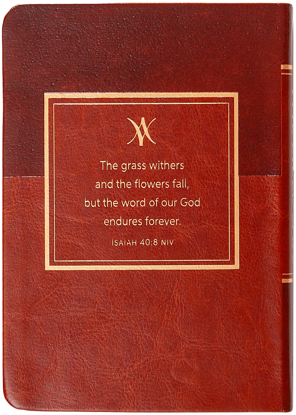 The Bible Says: The Ultimate Handbook for Your Every Need
