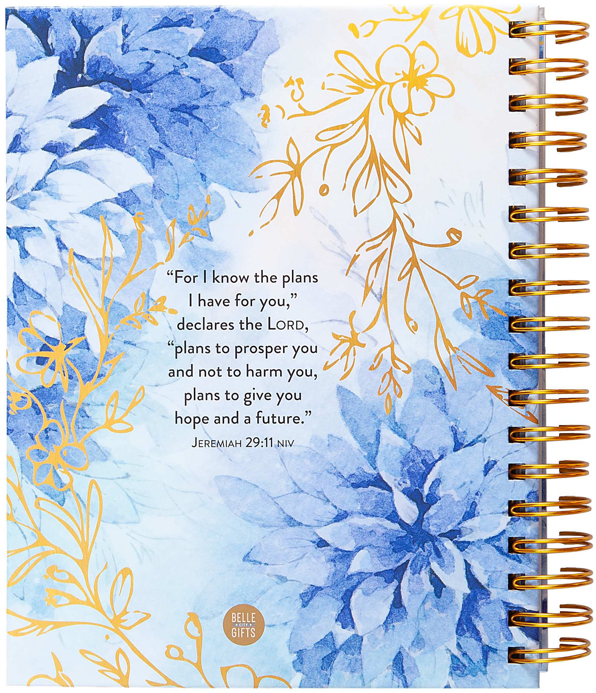 2027 12-Month Weekly Diary/Planner: For I Know the Plans (Blue Floral)