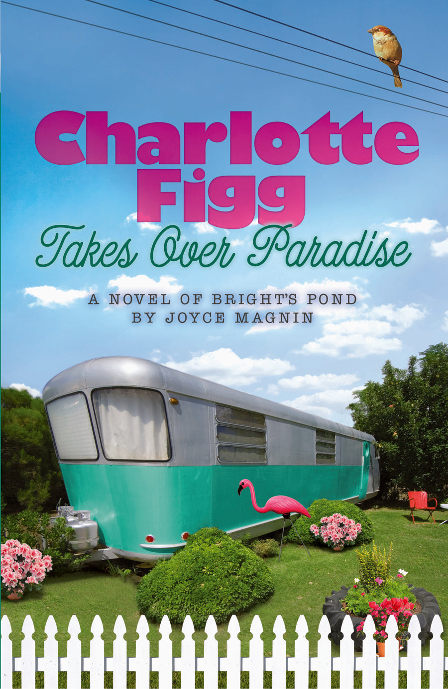 Charlotte Figg Takes Over Paradise (Bright's Pond Series)
