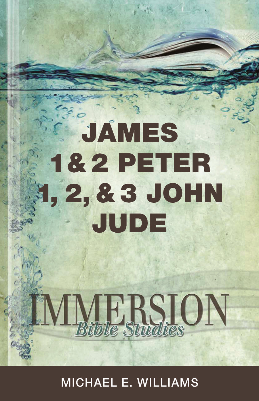 James, 1 & 2 Peter, 1,2 & 3 John, Jude (Immersion Bible Study Series)
