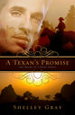 A Texan's Promise (#01 in Heart Of A Hero Series)