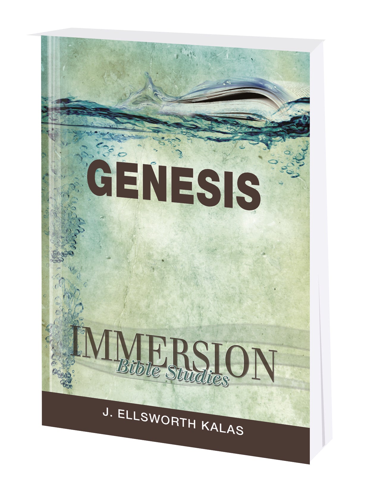 Genesis (Immersion Bible Study Series)
