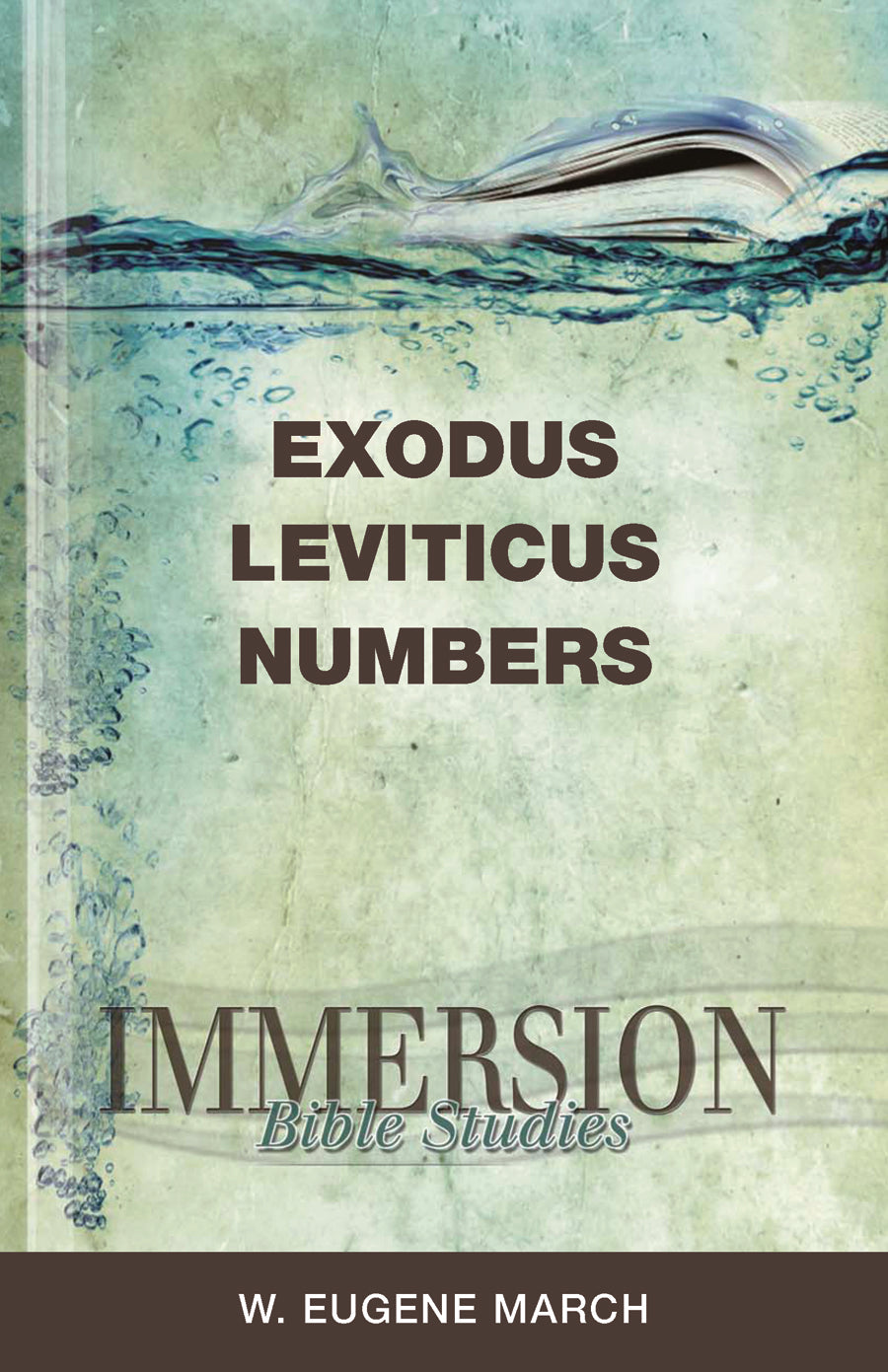 Exodus, Leviticus, Numbers (Immersion Bible Study Series)