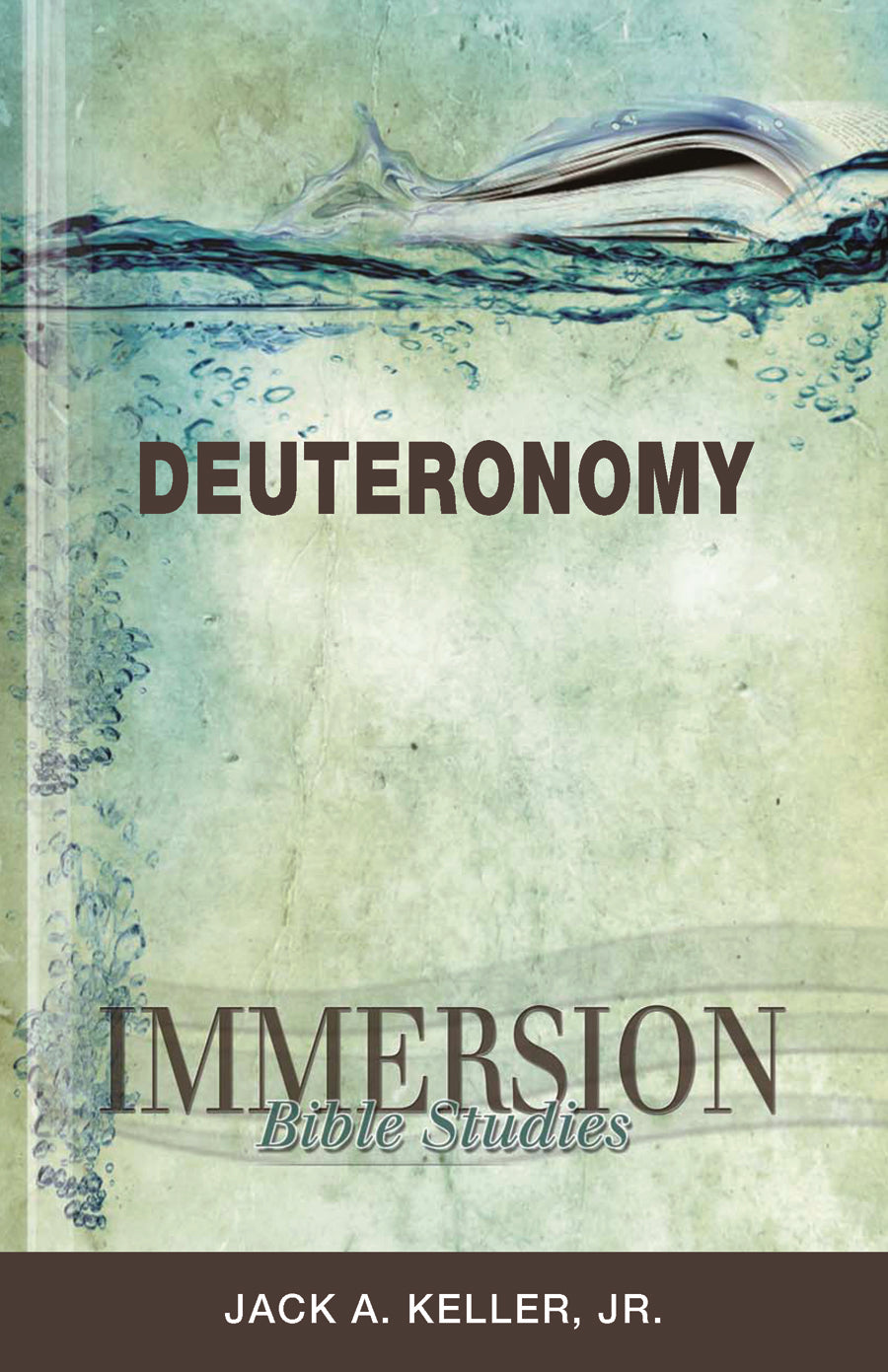 Deuteronomy (Immersion Bible Study Series)