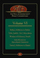Esther, Additions to Esther, Tobit, Judith, 1 & 2 Maccabees, Wisdom of Solomon, Sirach, Introduction to Apocalyptic Literature, Daniel, Additions to Daniel (#06 in New Interpreters Bible Commentary Series)