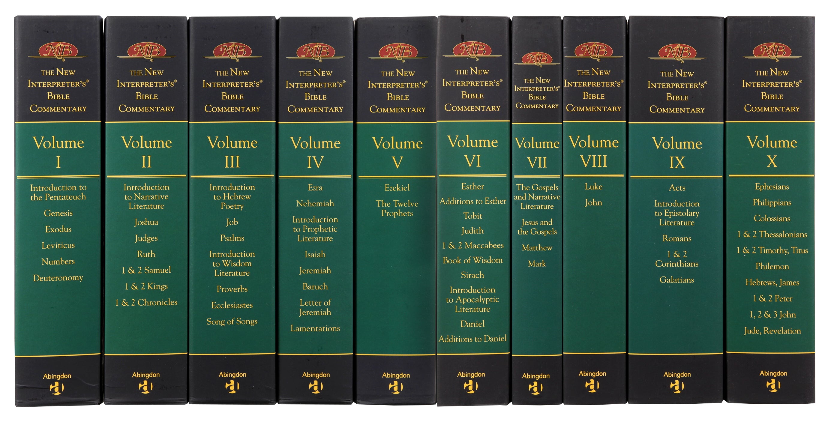 New Interpreter's Bible Commentary (10 Volume Set) (New Interpreters Bible Commentary Series)
