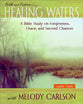 Healing Waters (Leader Guide)