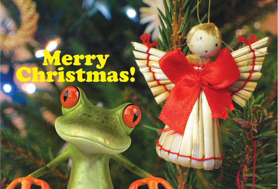 Grow, Proclaim, Serve! Postcards Merry Christmas (Pk 26)