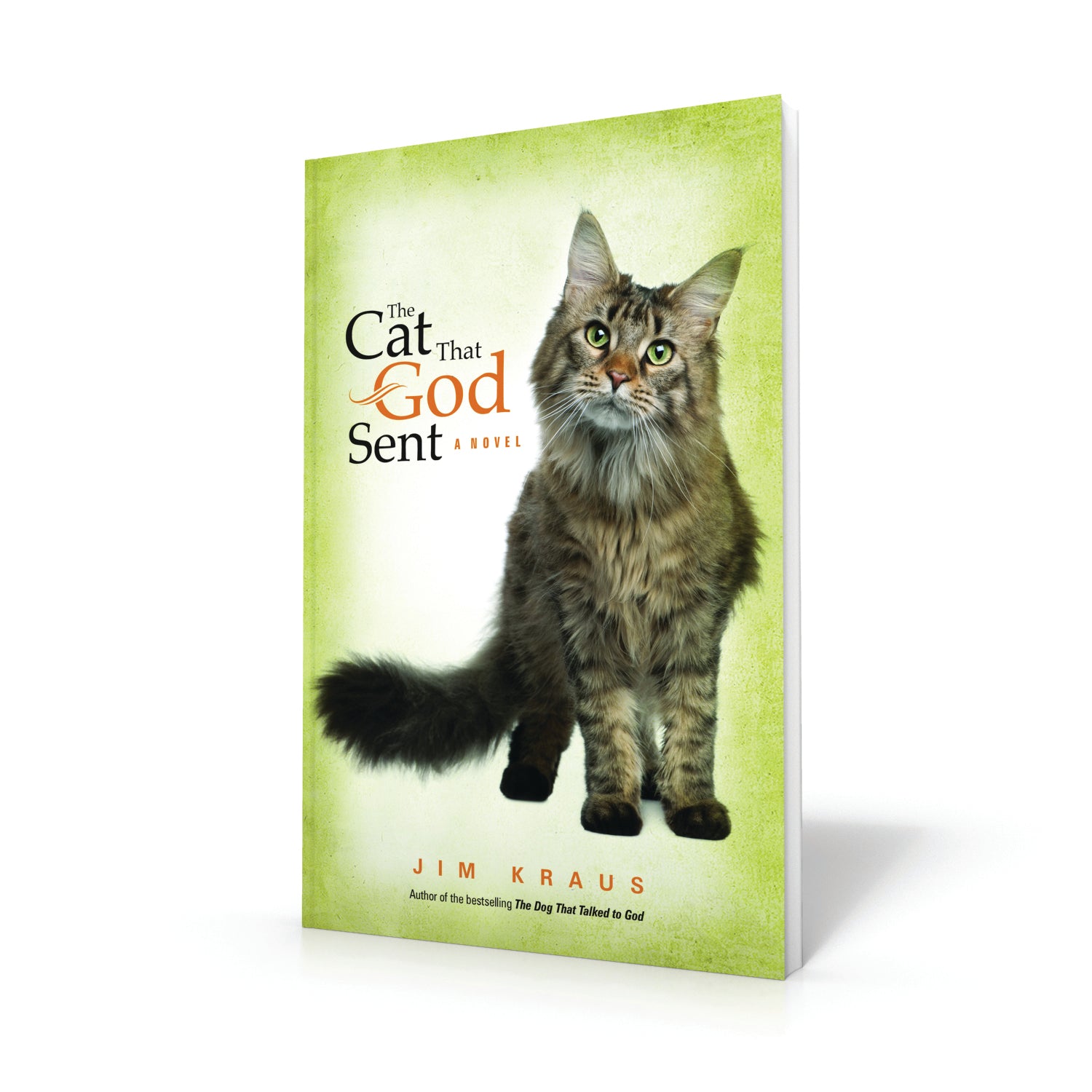 The Cat That God Sent