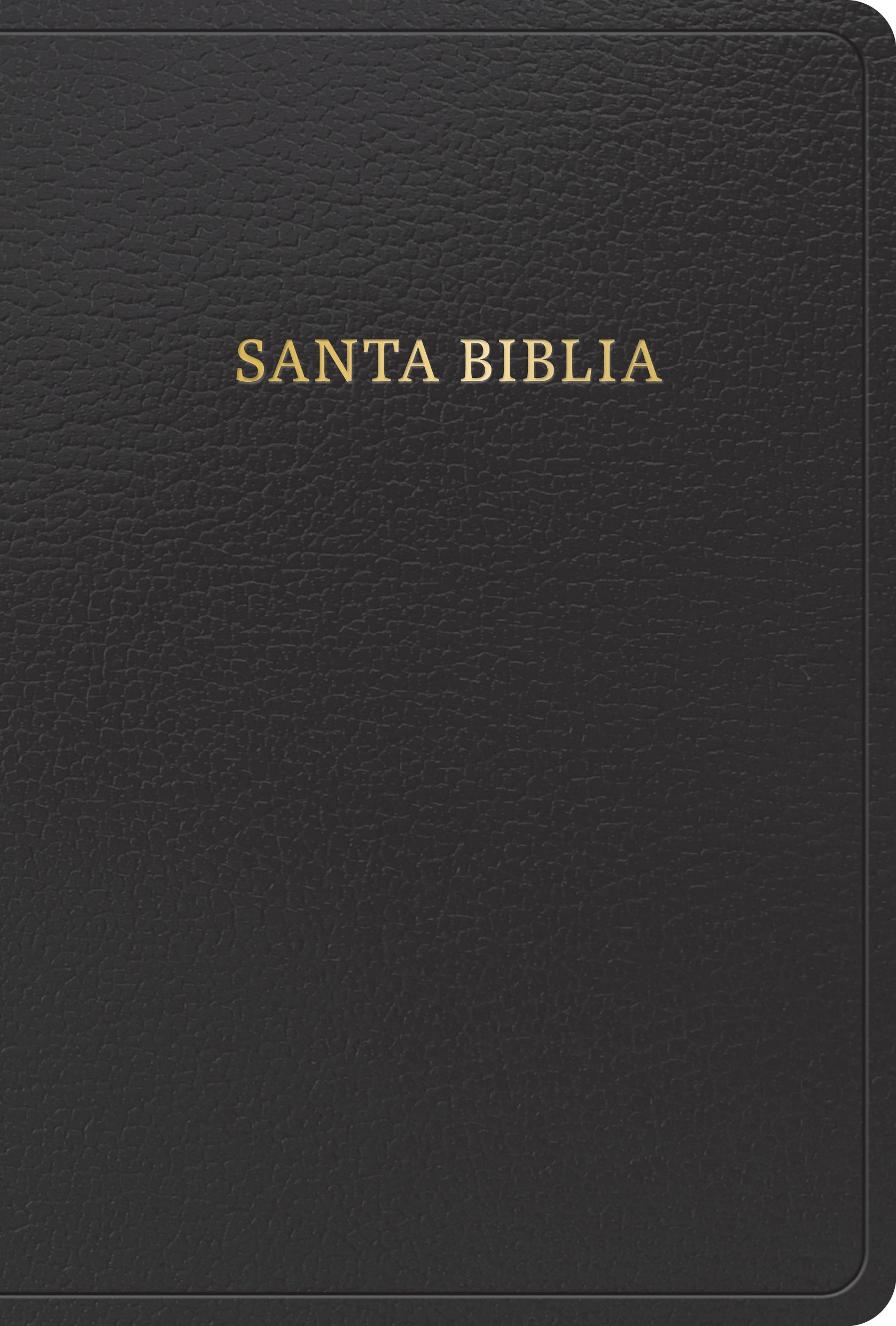 Rvr 1960 Biblia Letra Grande Tamano Manual Negro Con Indice (Red Letter Edition) (Edicion 2023)