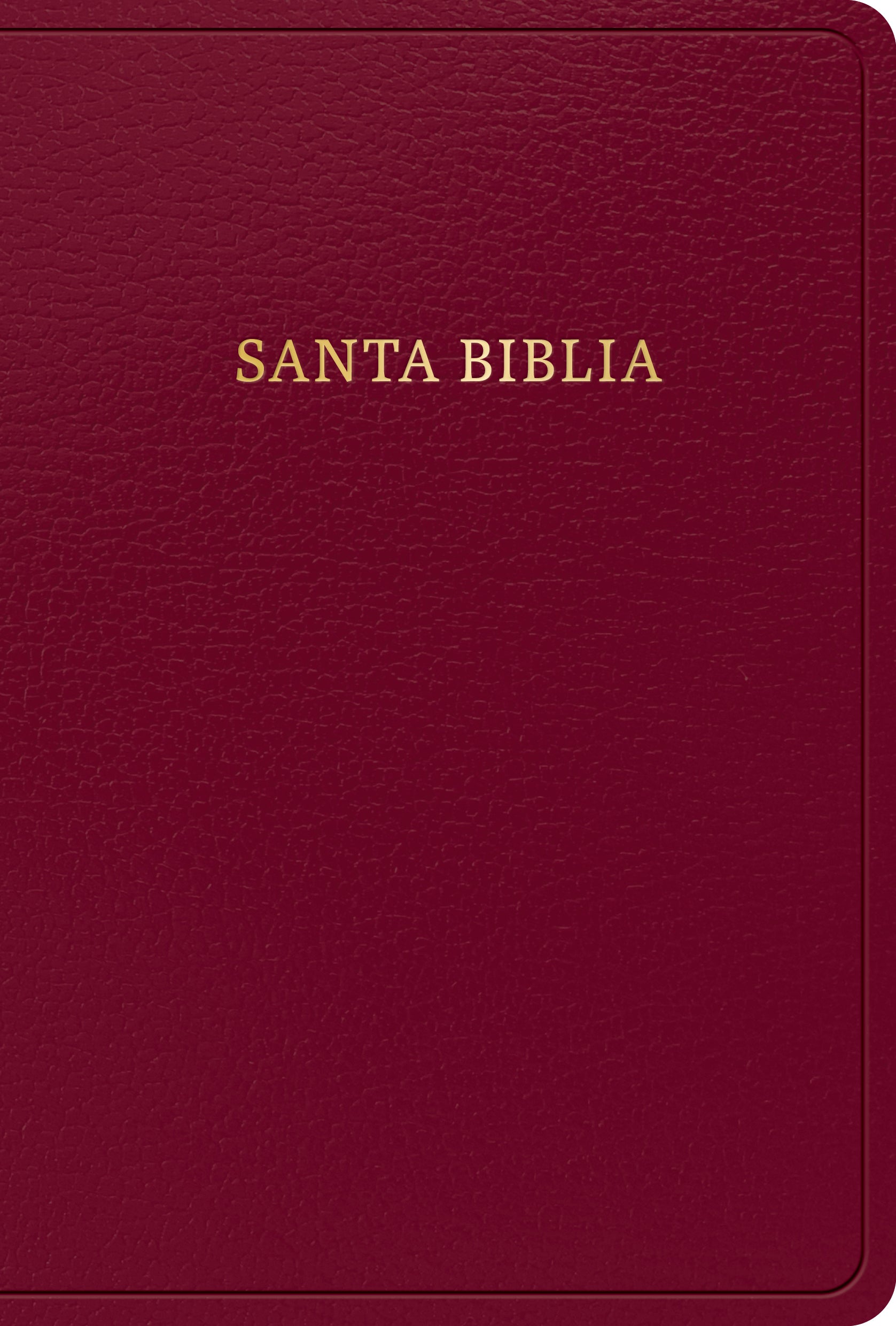 Rvr 1960 Biblia Letra Grande Tamano Manual Borgona Con Indice (Red Letter Edition) (Edicion 2023)