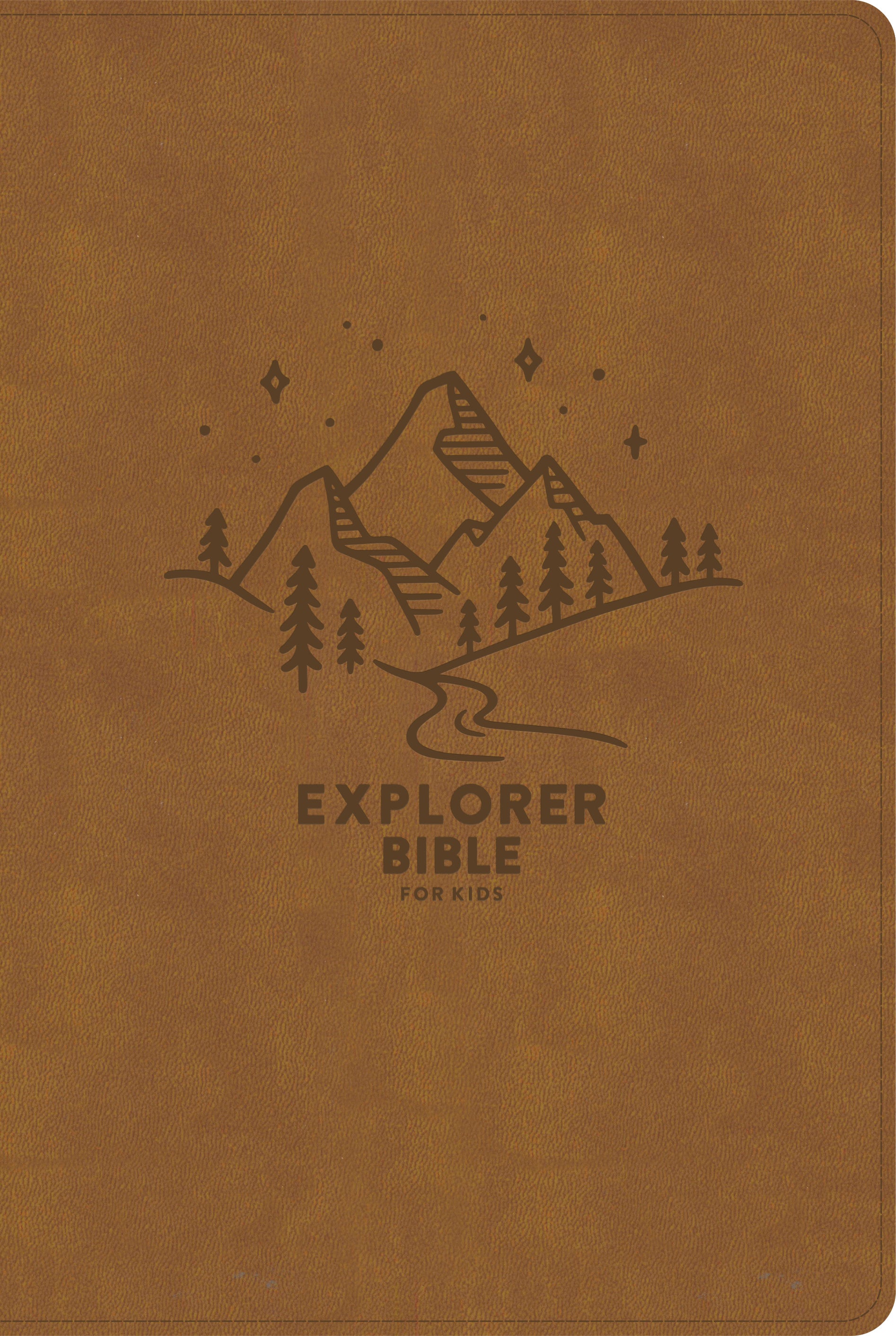 CSB Explorer Bible For Kids Brown Mountains Indexed