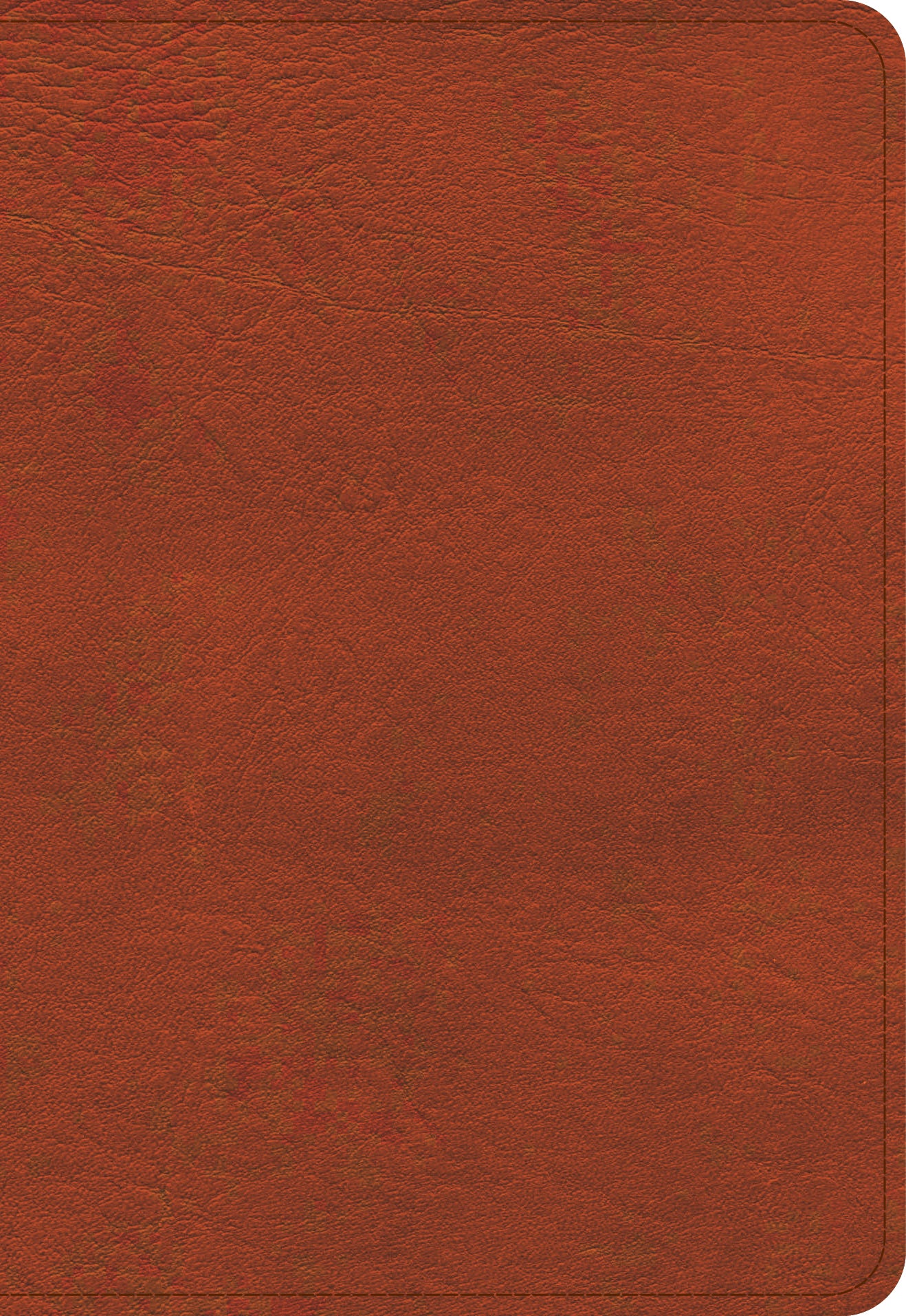KJV Large Print Compact Reference Bible Burnt Sienna (Red Letter Edition)