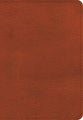 KJV Large Print Compact Reference Bible Burnt Sienna (Red Letter Edition)