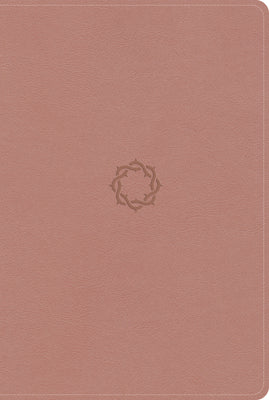 KJV Essential Teen Study Bible, Rose Gold Leathertouch, Indexed