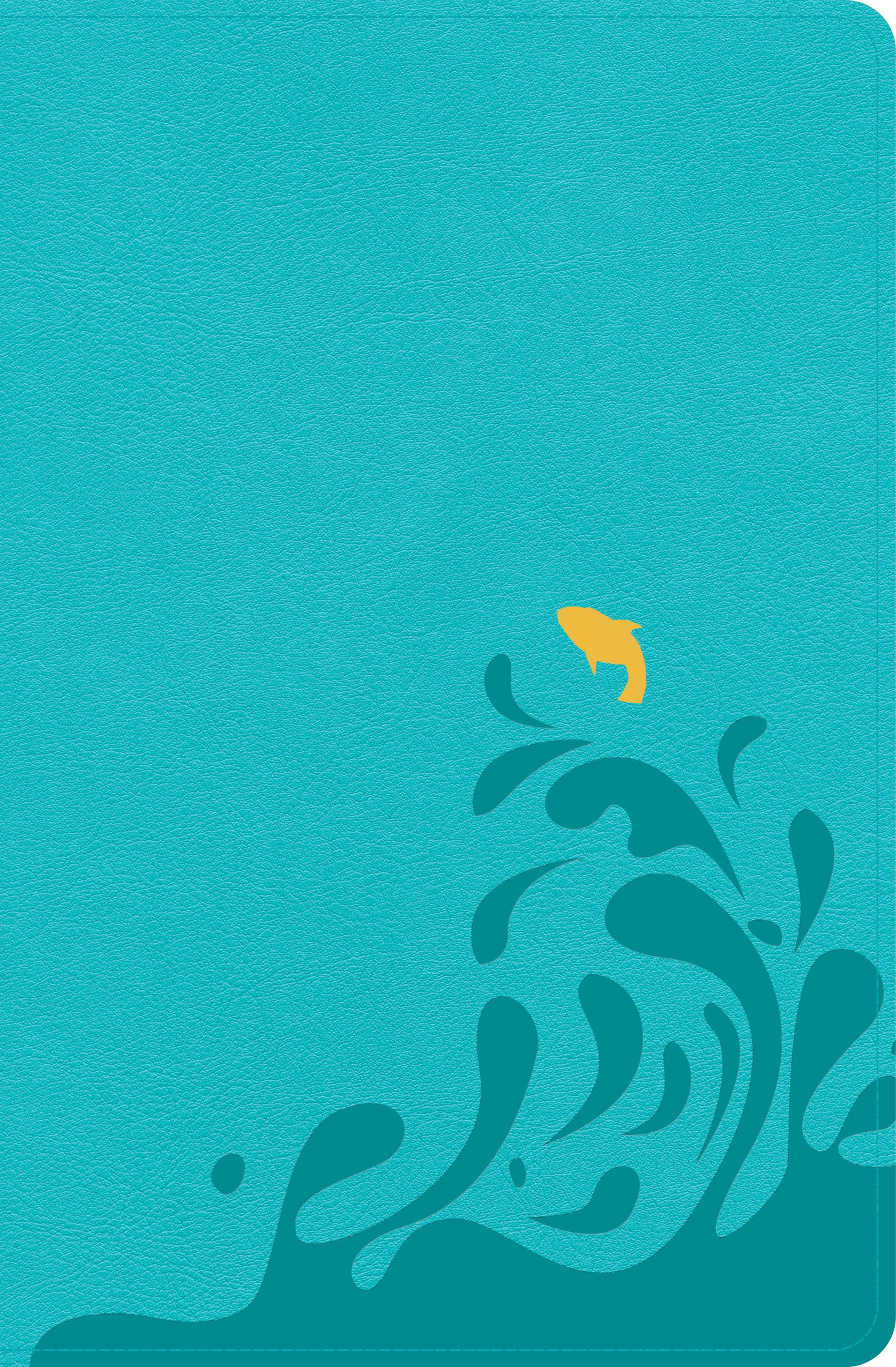 CSB Easy-For-Me Bible For Early Readers Aqua Blue