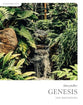 Genesis (Bible Study Book): The Beginning (Storyteller Series)
