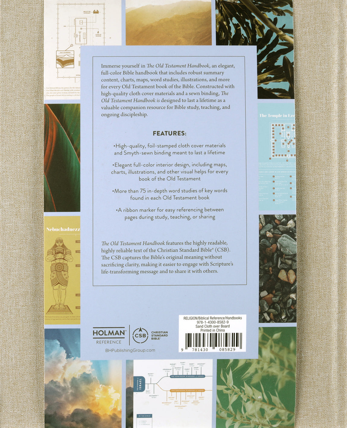 The Old Testament Handbook: A Visual Guide Through the Old Testament (Sand)