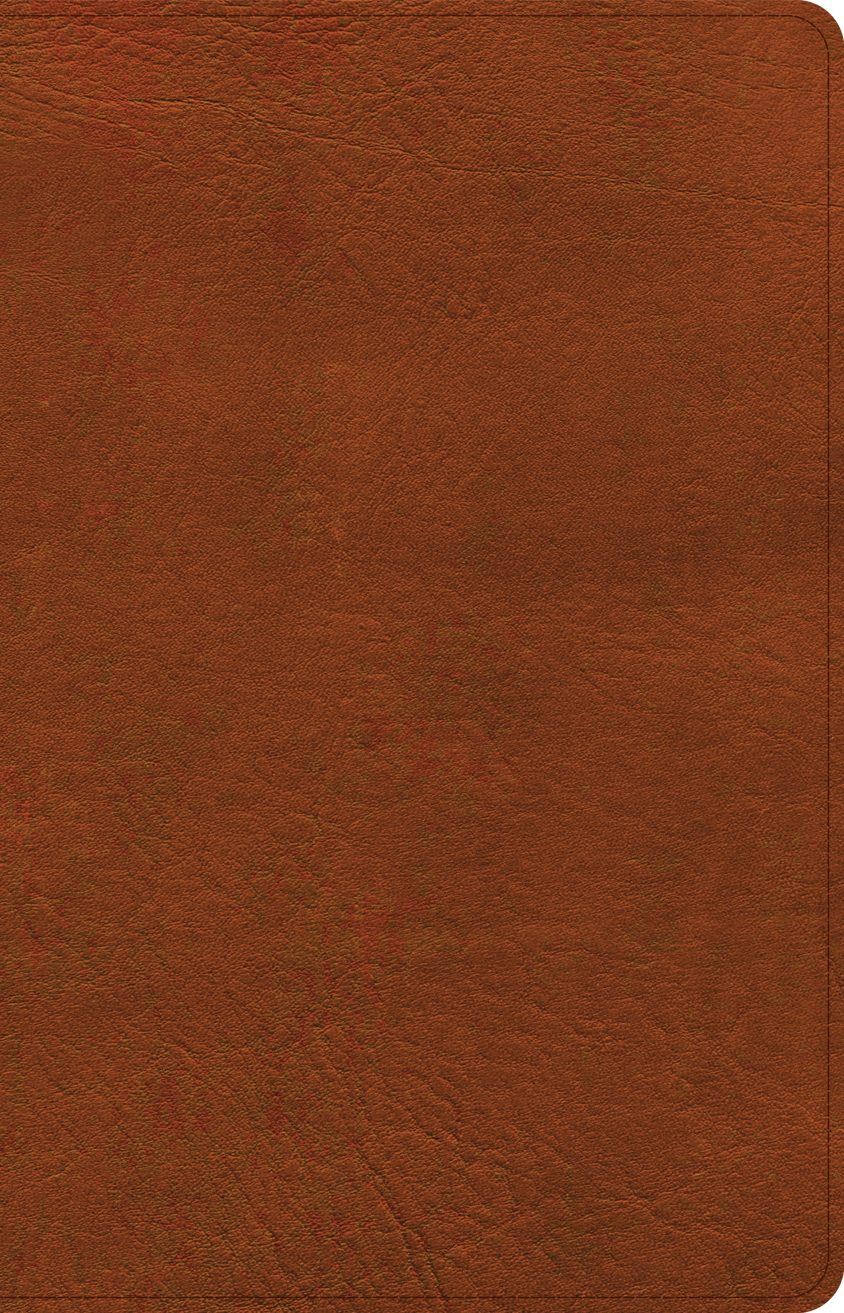 NASB Large Print Thinline Bible Burnt Sienna (Red Letter Edition)