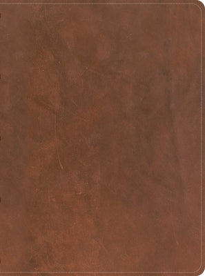 CSB Men's Daily Bible Brown (Black Letter Edition)
