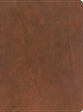 CSB Men's Daily Bible Brown (Black Letter Edition)