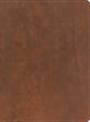 CSB Men's Daily Bible Brown Indexed (Black Letter Edition)