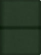 CSB Men's Daily Bible Olive (Black Letter Edition)