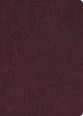 CSB Verse-By-Verse Reference Bible Holman Handcrafted Collection Premium Marbled Burgundy Calfskin (Black Letter Edition)