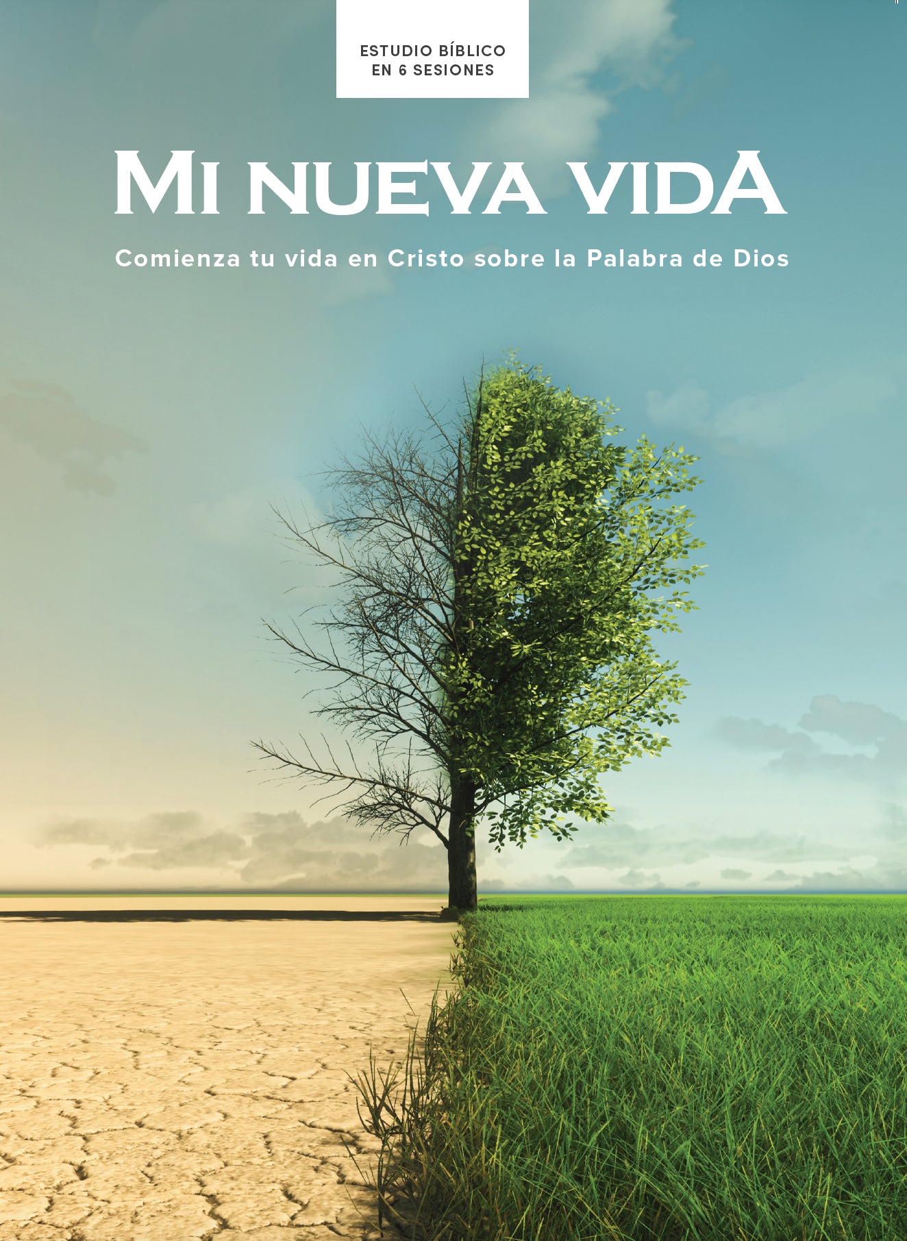 Mi Nueva Vida Estudio Biblico (My New Life Bible Study, Spanish Edition)