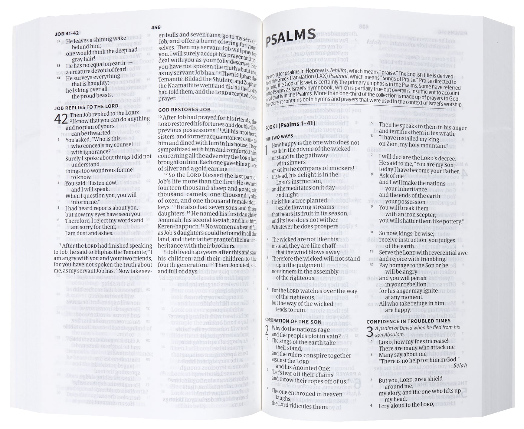 CSB Here's Hope Bible (Red Letter Edition)