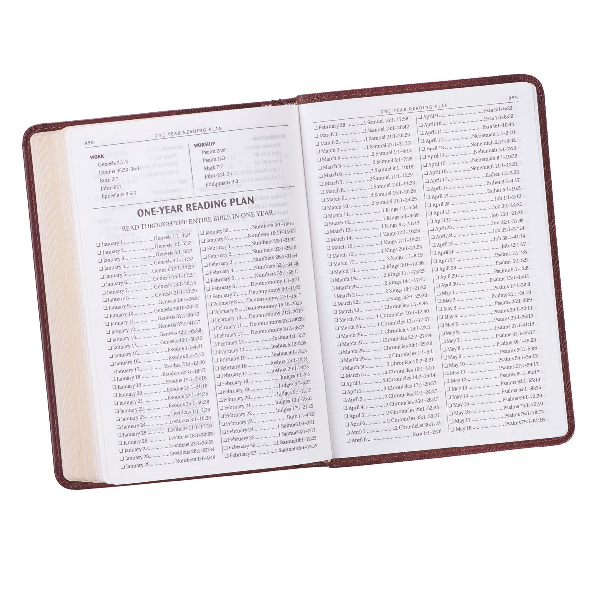 KJV Pocket Bible Brown (Red Letter Edition)