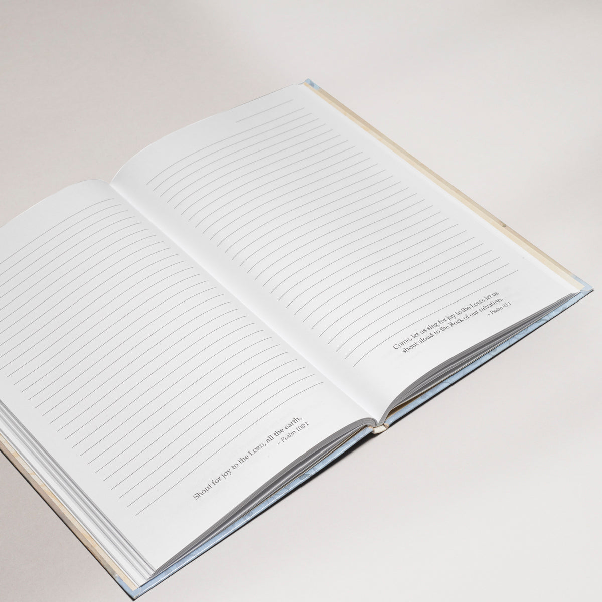 Journal: The Lord's Mercies Are New Every Morning (Lamentations 3:22-23)