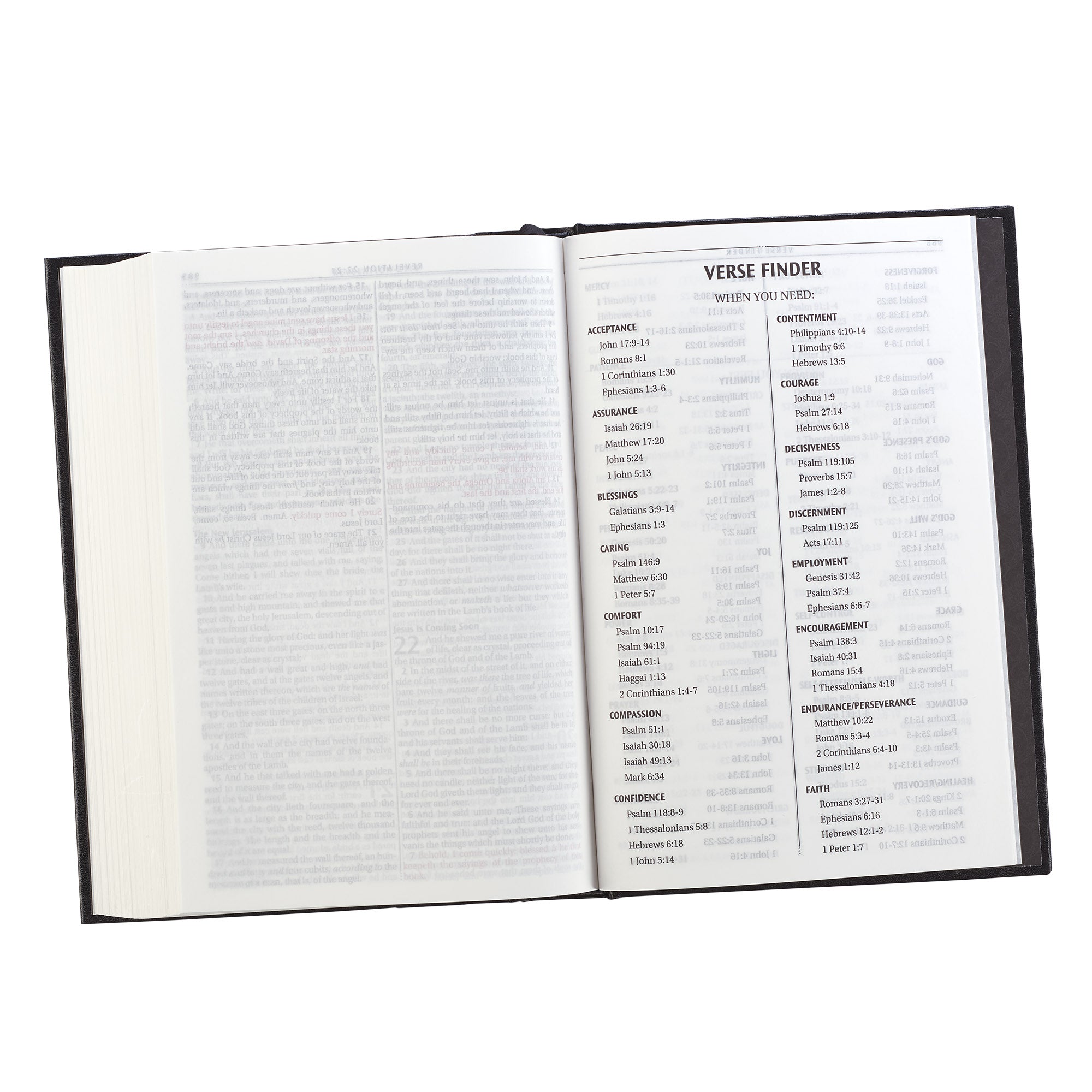 KJV One Year Reading Plan Large Print Bible Black Red Letter Edition