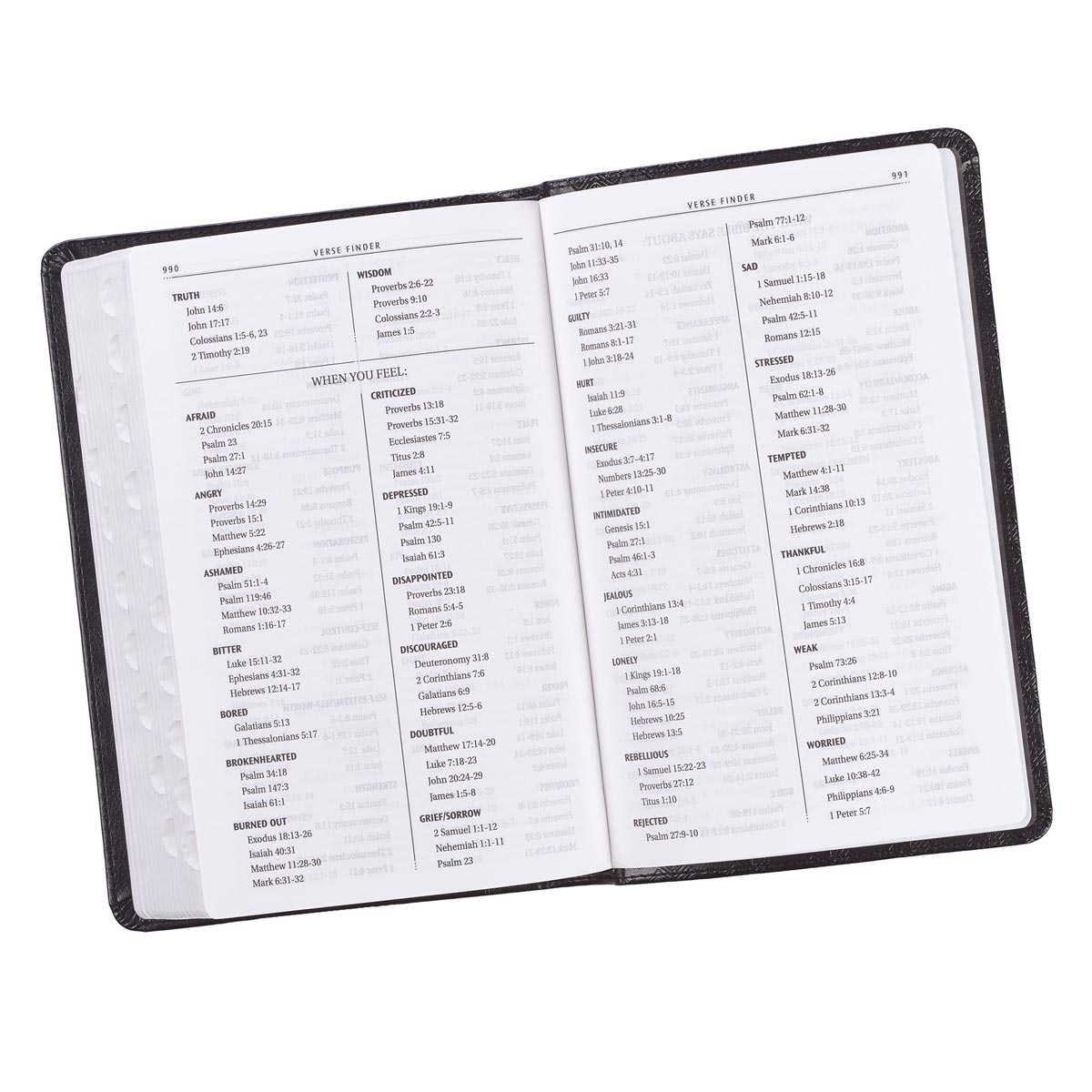 KJV Standard Edition Black Red Letter Edition