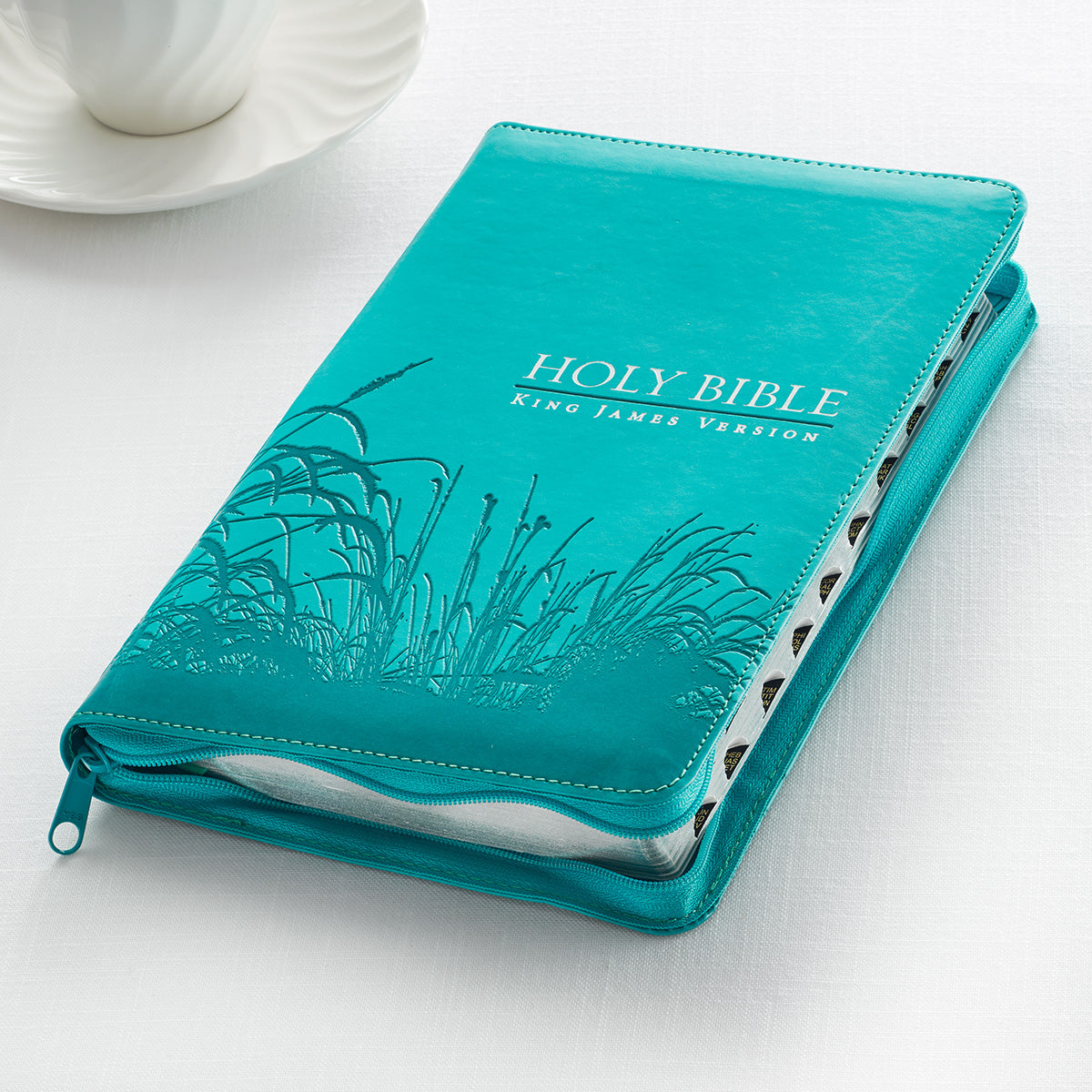 KJV Gift and Award Bible Zippered Aqua Red Letter Edition