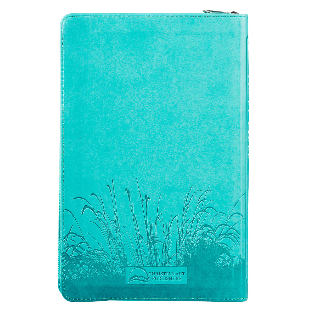 KJV Gift and Award Bible Zippered Aqua Red Letter Edition