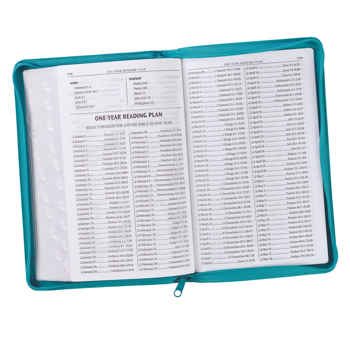 KJV Gift and Award Bible Zippered Aqua Red Letter Edition