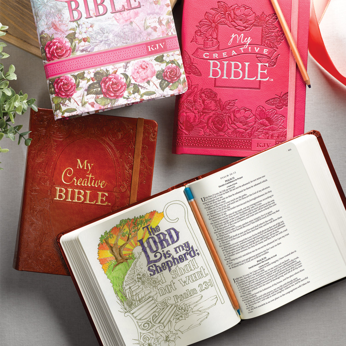 KJV My Creative Bible Pink (Black Letter Edition)