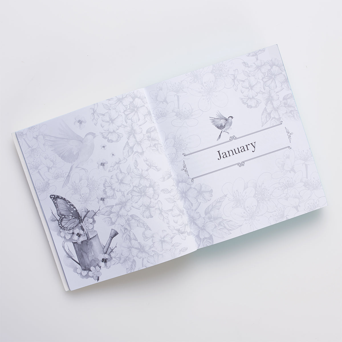 Illustrated Words Jesus For Women Devotional Book