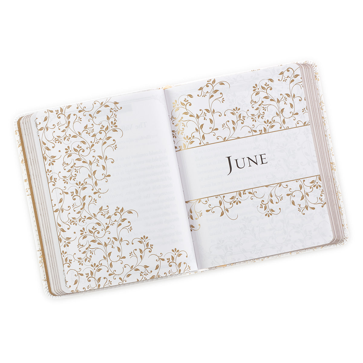 One-Minute Devotions: Morning By Morning