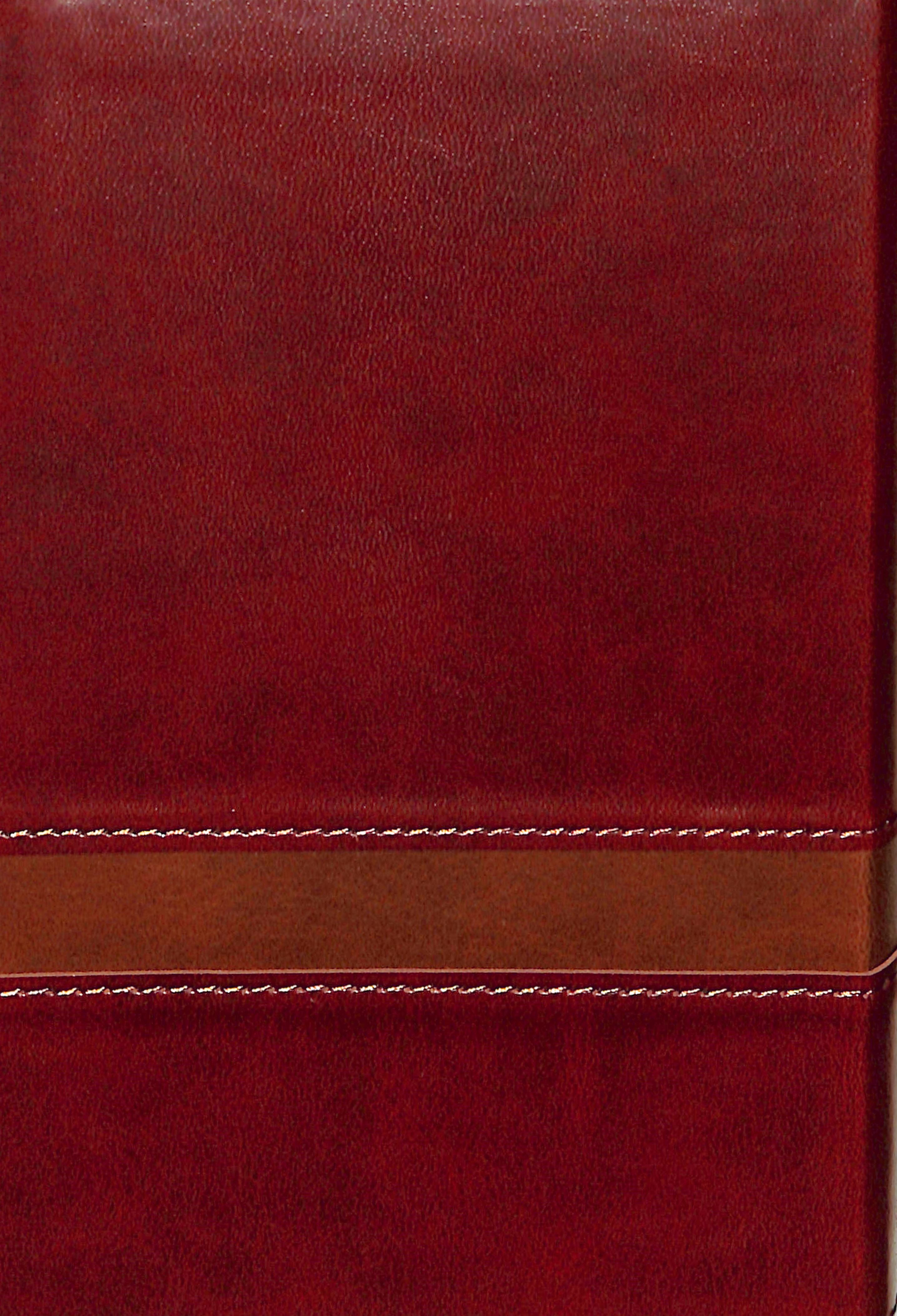 KJV Large Print Compact Bible Brown Red Letter Edition