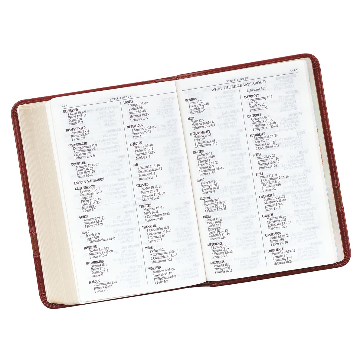 KJV Large Print Compact Bible Brown Red Letter Edition