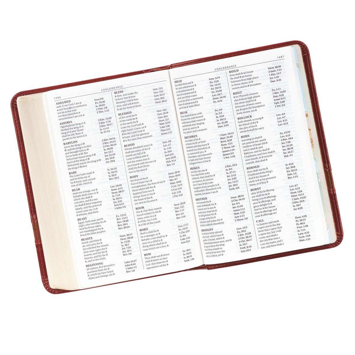 KJV Large Print Compact Bible Brown Red Letter Edition