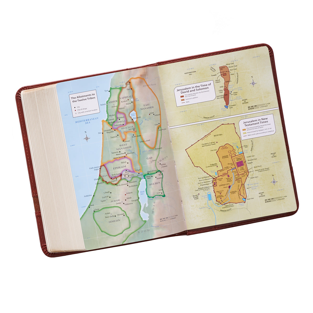 KJV Large Print Compact Bible Brown Red Letter Edition